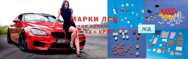 сатива Дмитриев