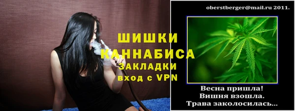 сатива Дмитриев