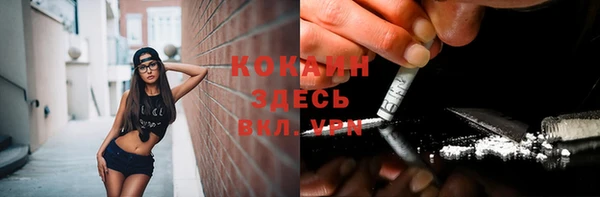 сатива Дмитриев