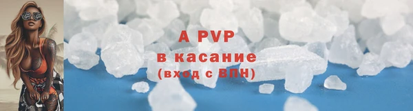 сатива Дмитриев