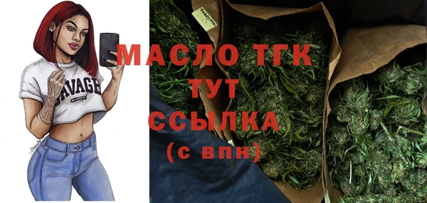 сатива Дмитриев