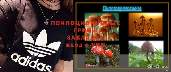 сатива Дмитриев