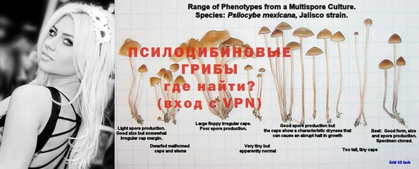 метадон Дмитров