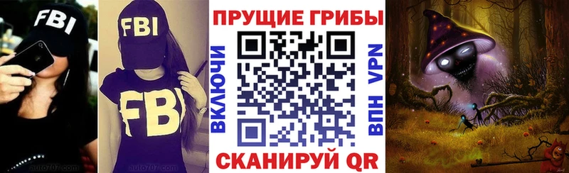 Галлюциногенные грибы Psilocybe Бавлы