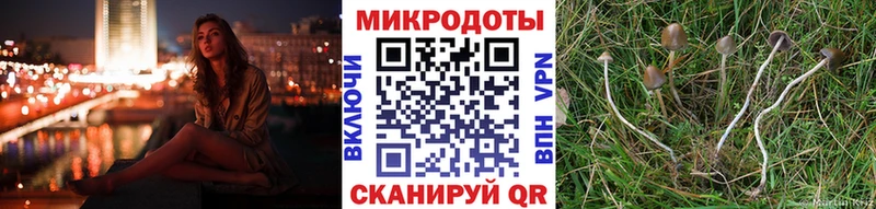 Купить закладки  Бавлы  Псилоцибиновые грибы прущие грибы 